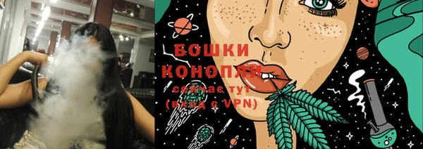 гашик Надым
