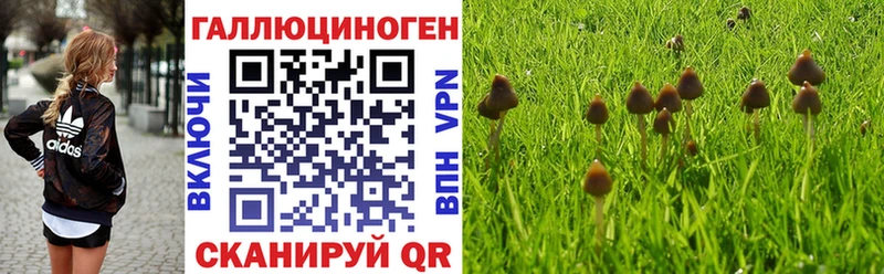Галлюциногенные грибы мухоморы Трубчевск